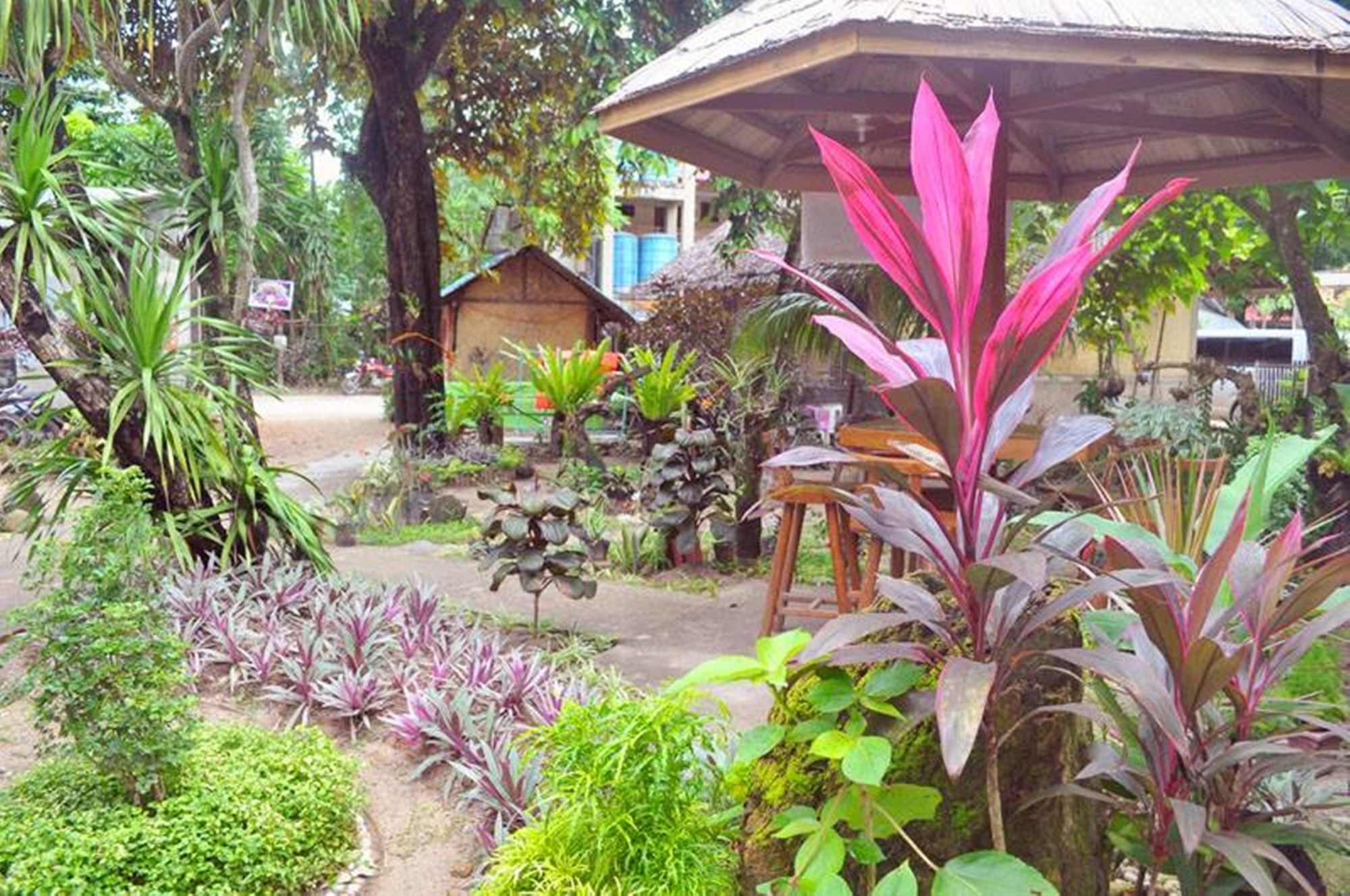 Peak House Garden Pension El Nido Exteriér fotografie
